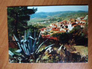 Postcard Bormes Les Mimosas
