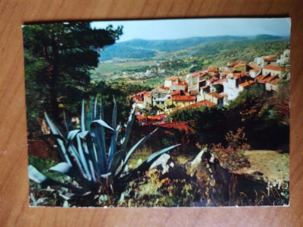 Postcard Bormes Les Mimosas