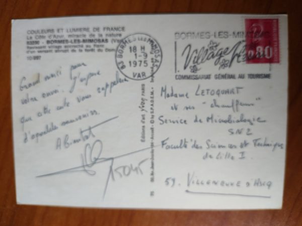 Postcard Bormes Les Mimosas - Image 2