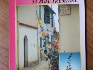 Postcard Ile de Re