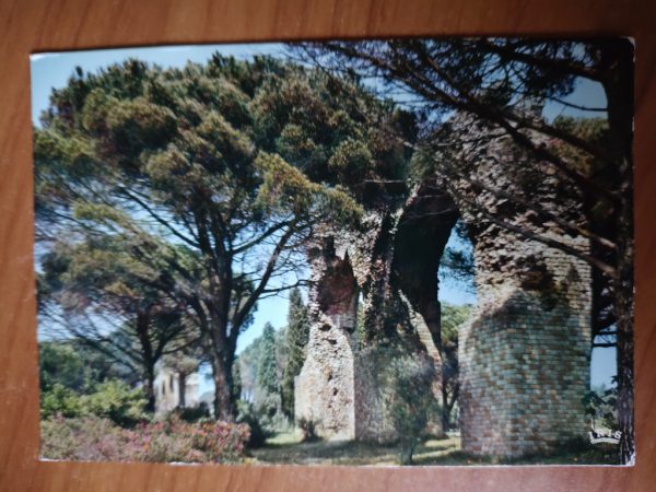 Postcard Frejus