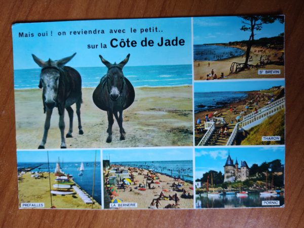 Postcard Cote de Jade Pornic
