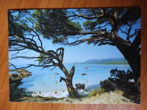 Postcard Corse Palombaggia