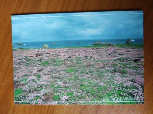 Postcard Bretagne Vivanie