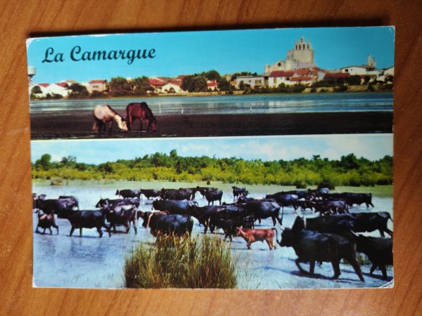 Postcard La Camargue
