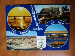 Postcard Camargue