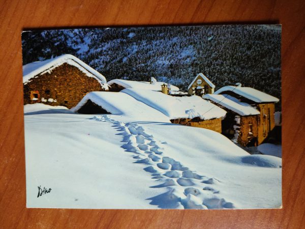Postcard Neige Snow