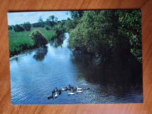Postcard Paysage de Briere Bretagne