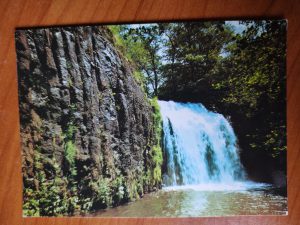 Postcard Bois de Chaux
