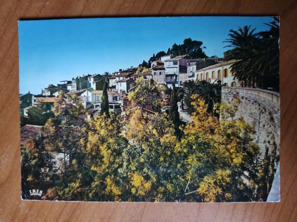 Postcard Bormes Les Mimosas