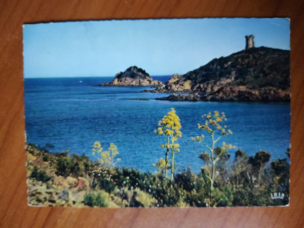 Postcard Corse Saint Lucie