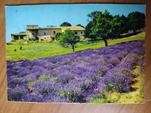 Postcard Flowers France