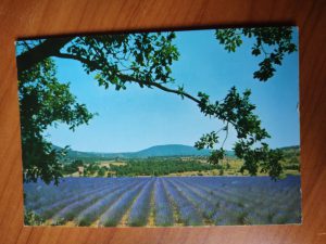 Postcard Provence