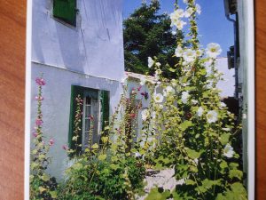Postcard Ile de Re