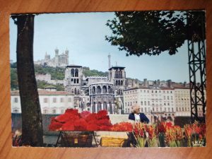 Postcard Lyon Du Marche