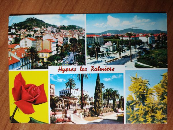 Postcard Palmiers Cote de Azur