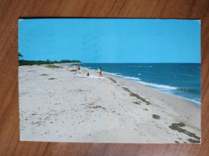 Postcard Corse Ghisonaccia