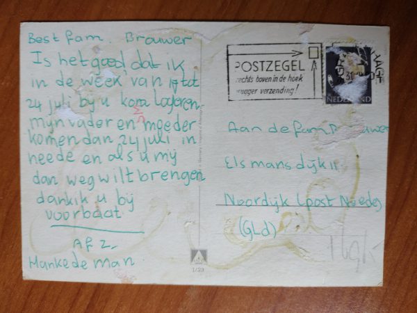Postcard Horse - Image 2