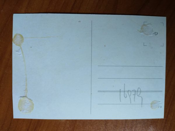 Postcard Horses - Image 2