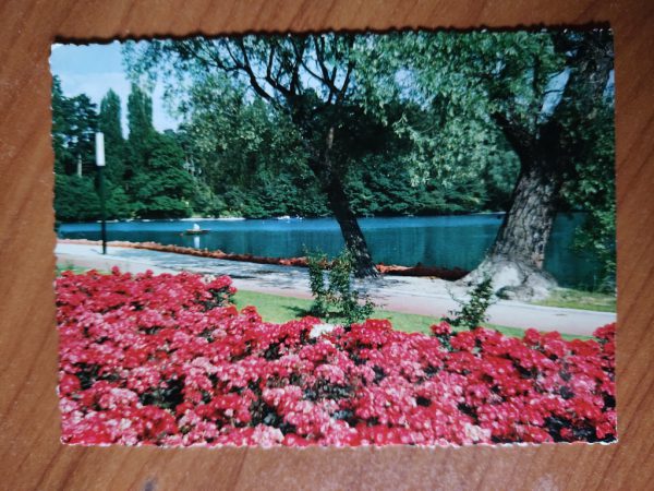 Postcard Lyon Parc