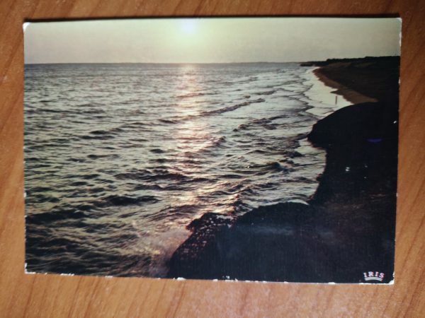 Postcard Cote Landaise