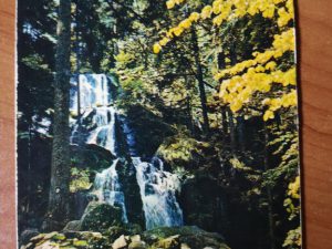 Postcard Les vosges