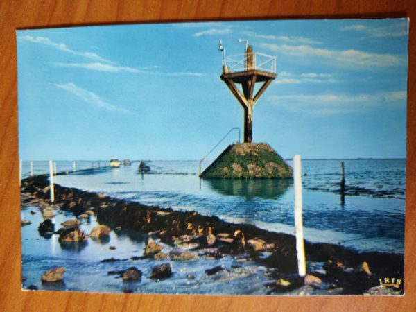 Postcard Ile de Noirmoutier