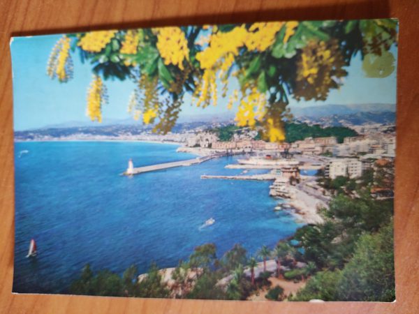 Postcard Nice Entree du Port