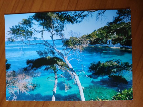 Postcard Image du Sud