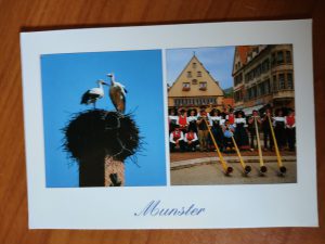 Postcard Munster