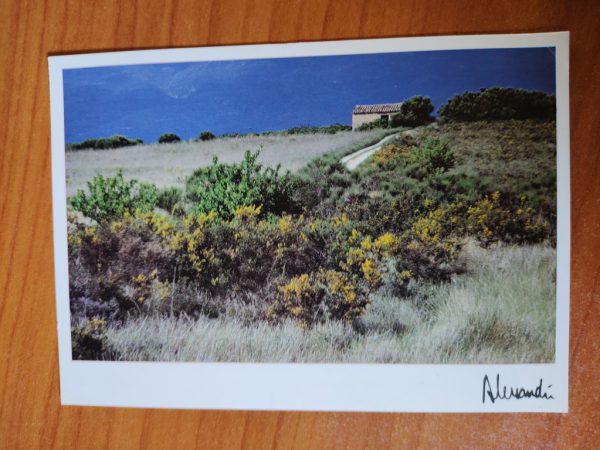 Postcard Cabanon St Blaise
