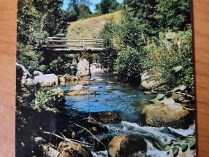 Postcard Truites