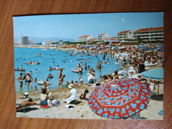 Postcard Frejus Cote de Azur