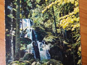 Postcard Tendon
