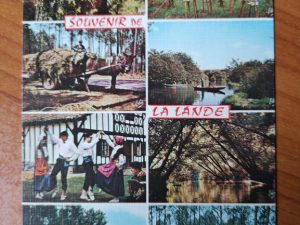 Postcard La Lande