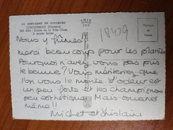 Postcard Concarneau - Image 2