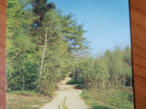 Postcard Ksiazeczka