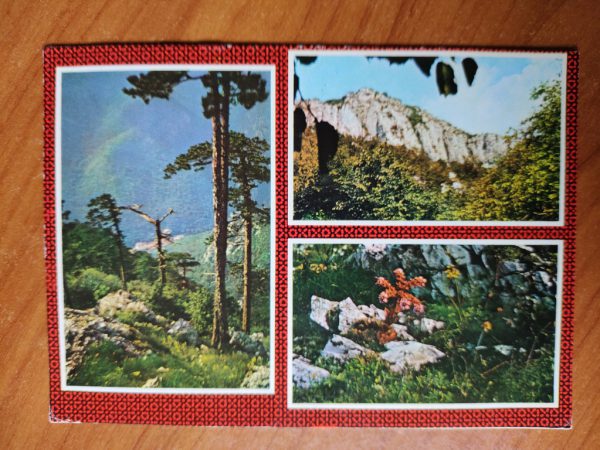 Postcard Baile Herculane