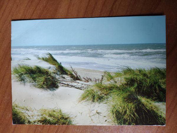 Postcard Vesterhavet Nordsea