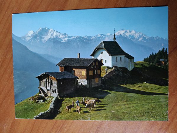 Postcard Fleischhorn