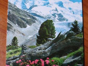 Postcard Piz Palu