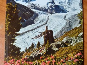 Postcard Piz Palu