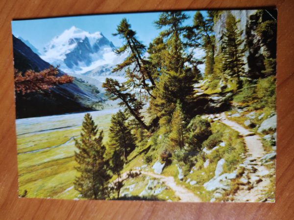 Postcard Rosegtal
