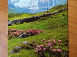 Postcard Davos