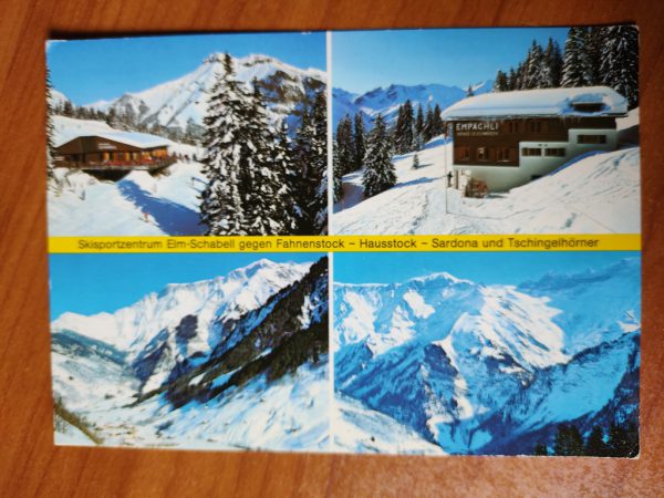 Postcard Elm