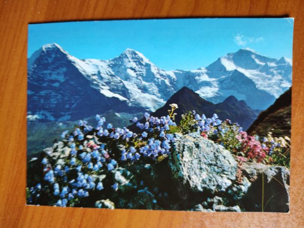 Postcard Eiger Jungfrau