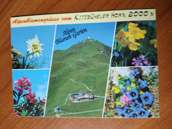 Postcard Kitzbuhel Horn