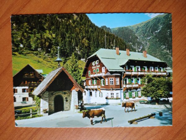 Postcard Gruner Baum