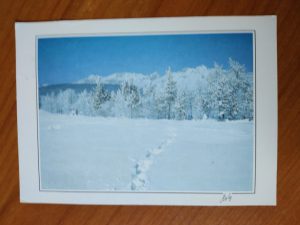 Postcard Seefeld Snow Winter